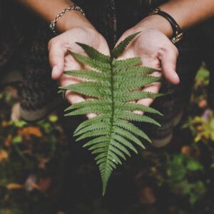 Purpose Embodiment sessie